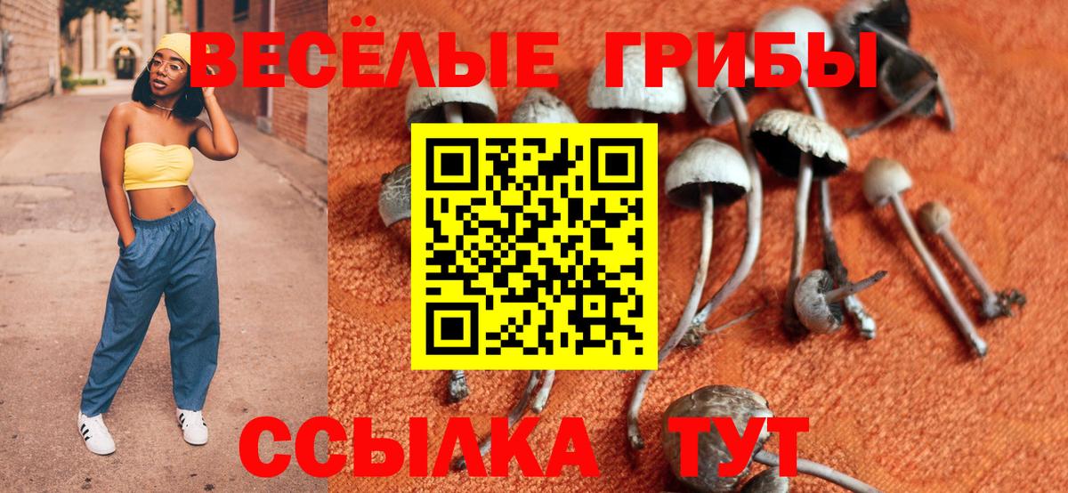 Псилоцибиновые грибы GOLDEN TEACHER Качканар